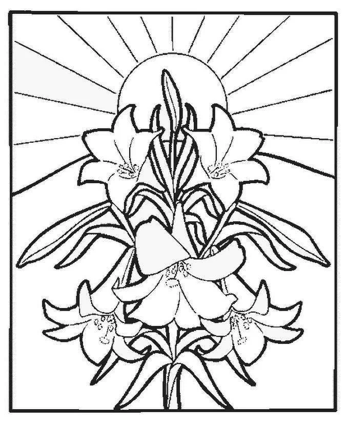 Pascoa para colorir 151