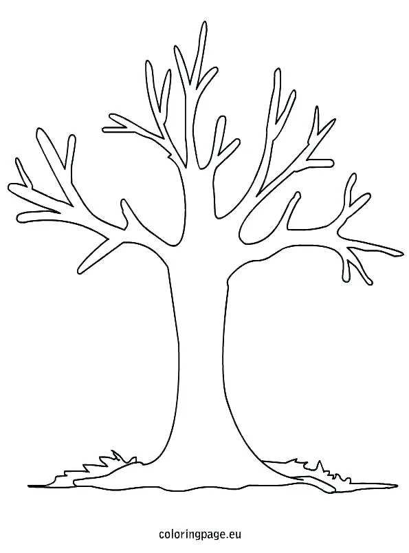 Fall Trees Coloring Pages 39