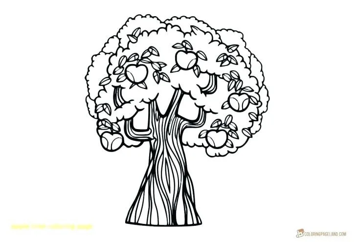 Fall Trees Coloring Pages 41