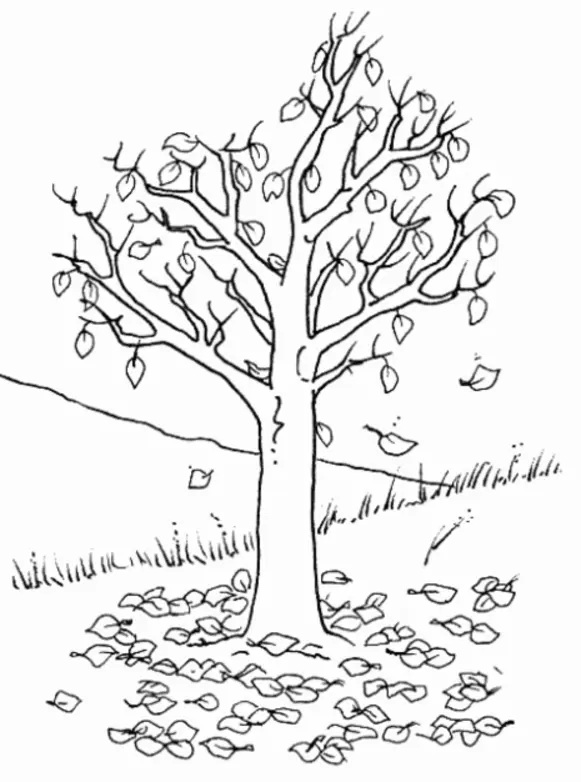 Fall Trees Coloring Pages 6