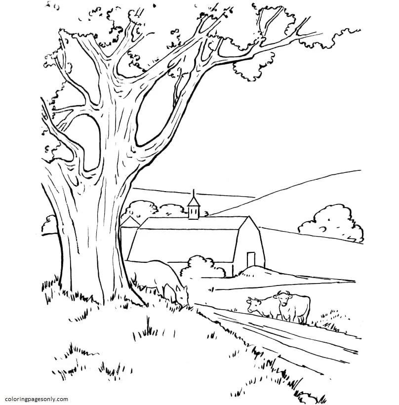 Farm Animal Coloring Pages 38