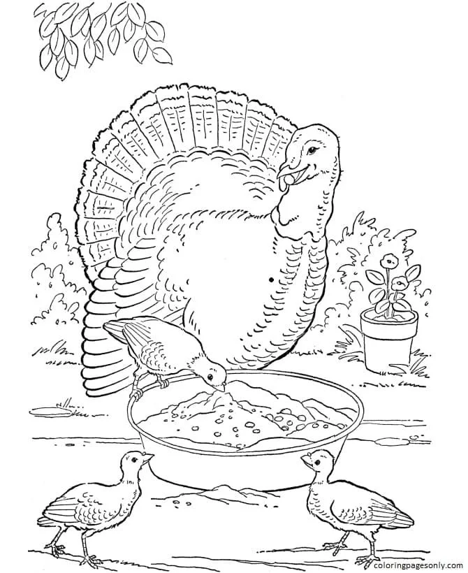 Farm Animal Coloring Pages 45