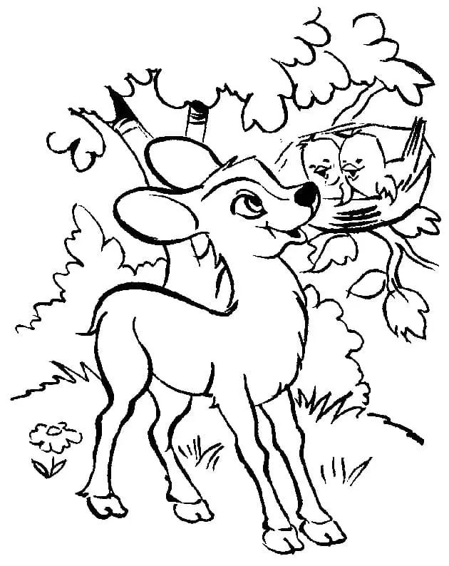 Reh Ausmalbilder 90
