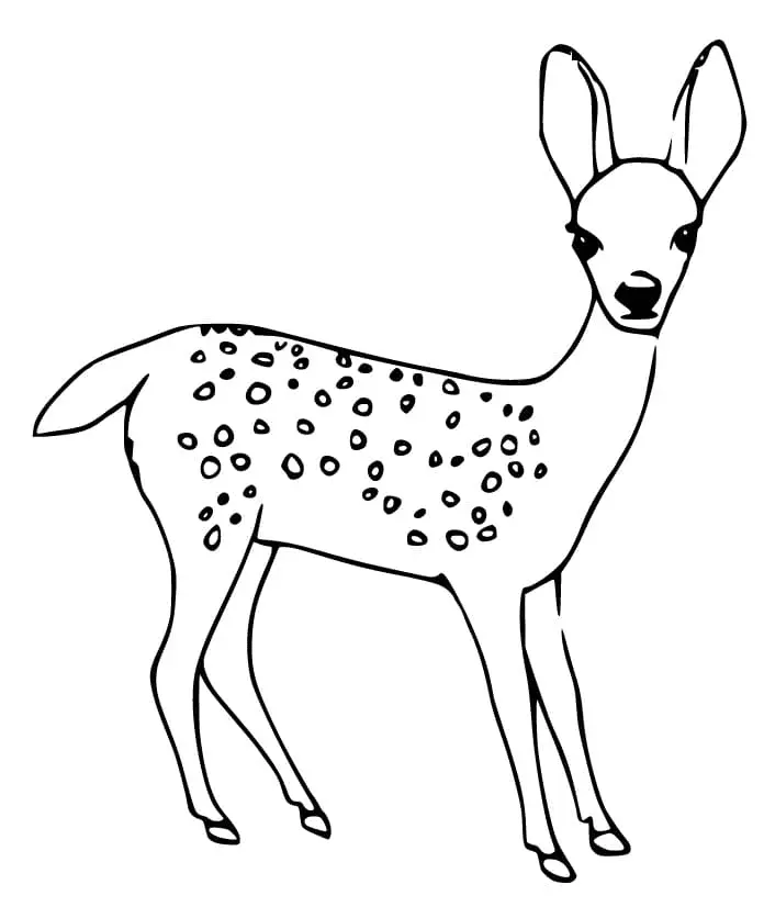 Reh Ausmalbilder 70