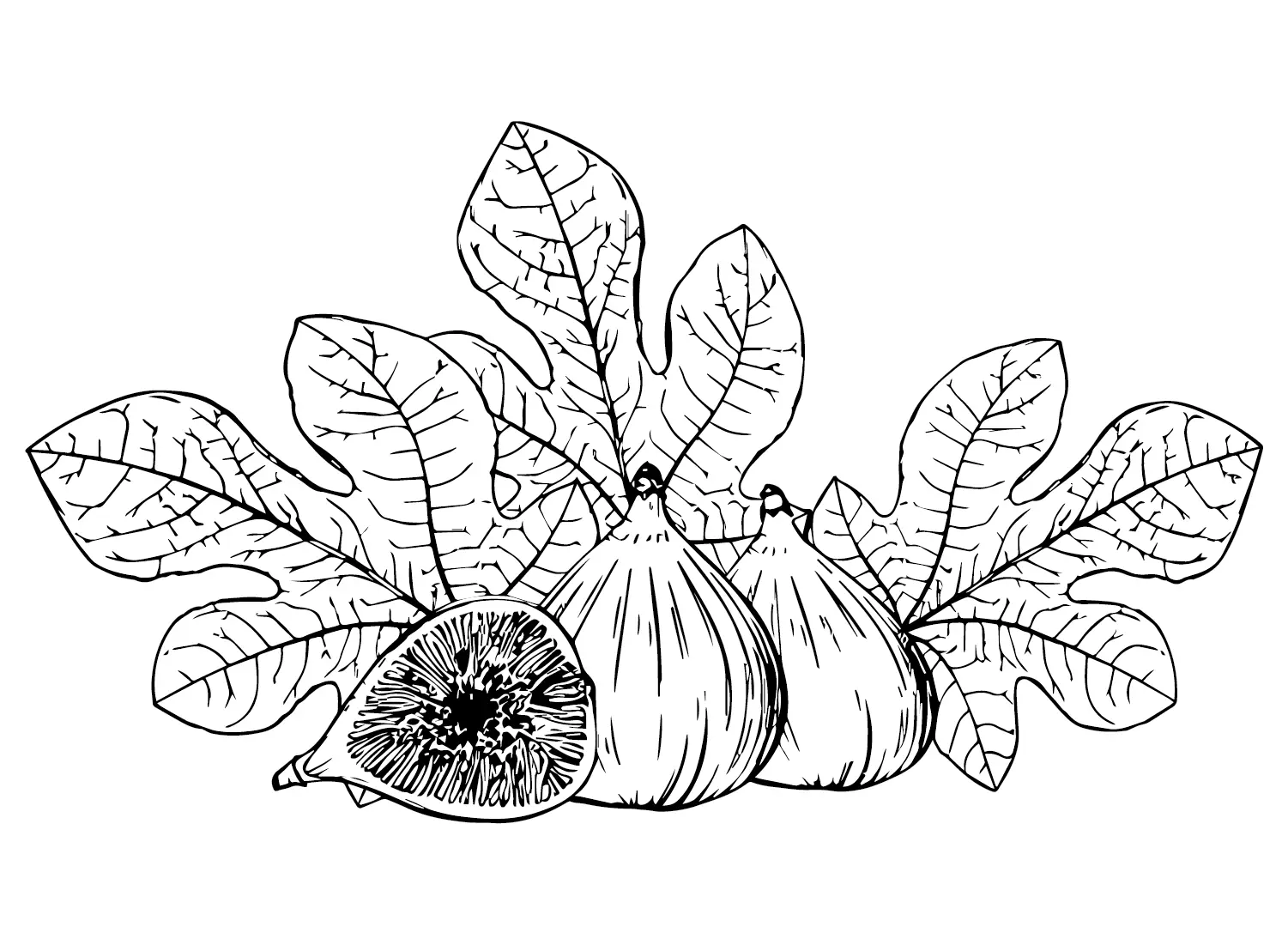 Desenhos de Figos Para Colorir 5