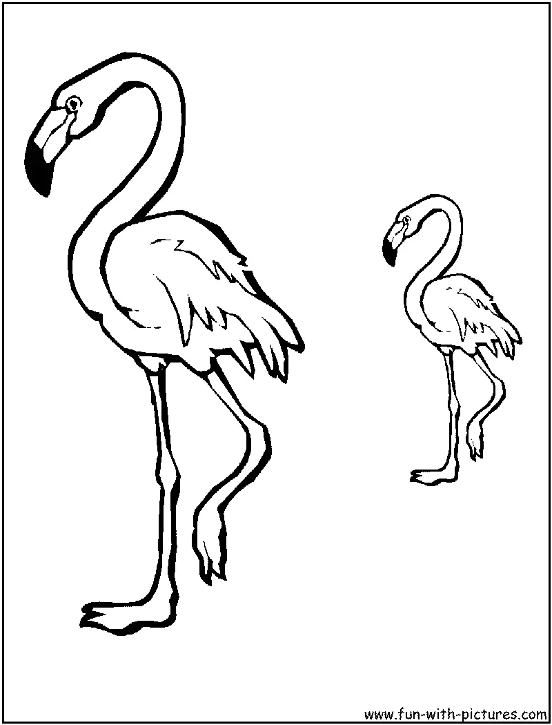 Desenhos de Flamingo Para Colorir 29