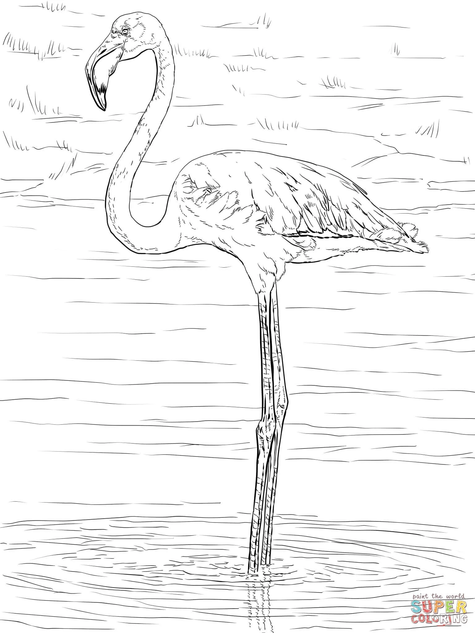 Desenhos de Flamingo Para Colorir 32