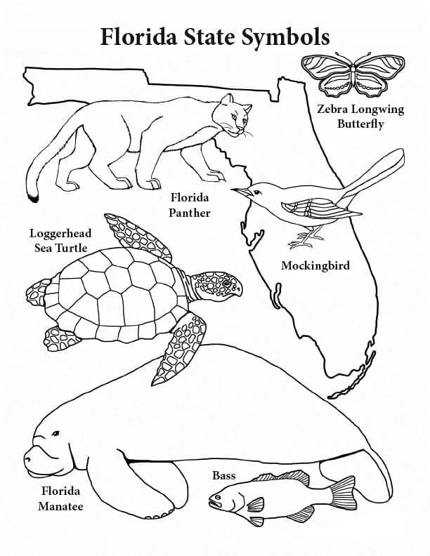 Desenhos de Florida Para Colorir 34