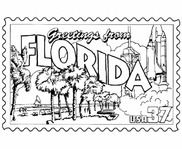 Desenhos de Florida Para Colorir 48