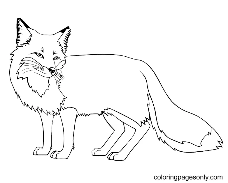 Fox Coloring Pages 4