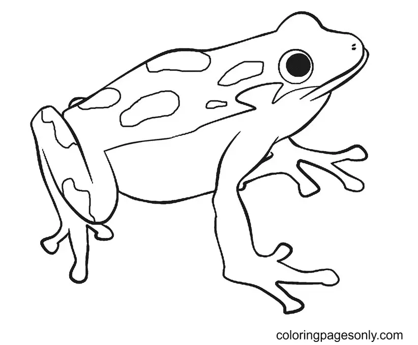 Frosch Ausmalbilder 1