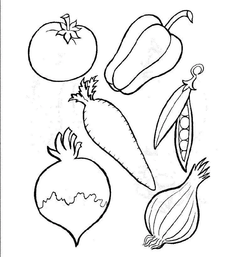 Frucht Ausmalbilder 19