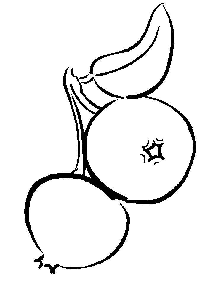Frucht Ausmalbilder 24