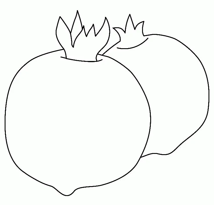 Frucht Ausmalbilder 28