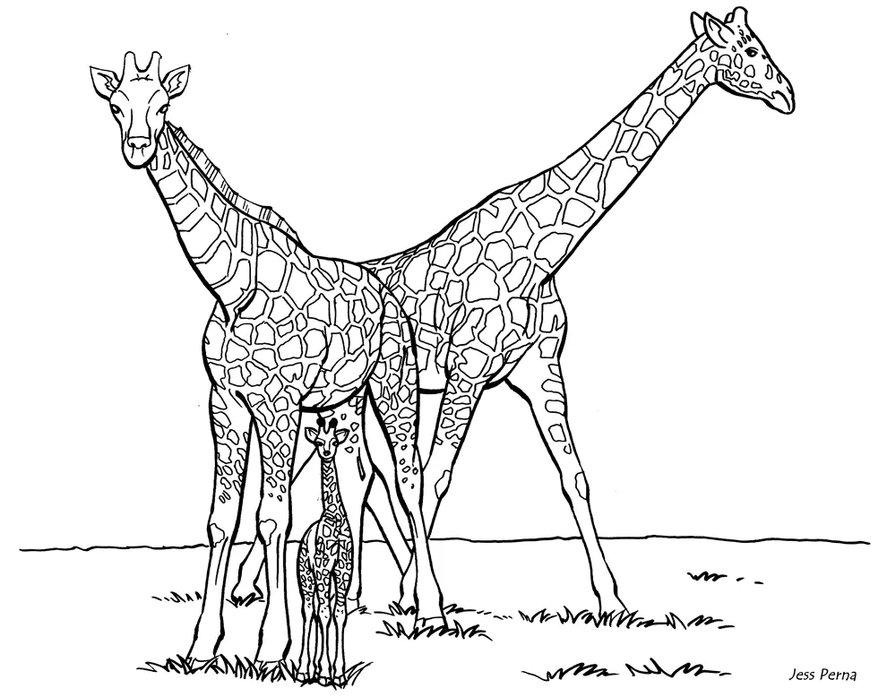Desenhos de Girafas Para Colorir 26