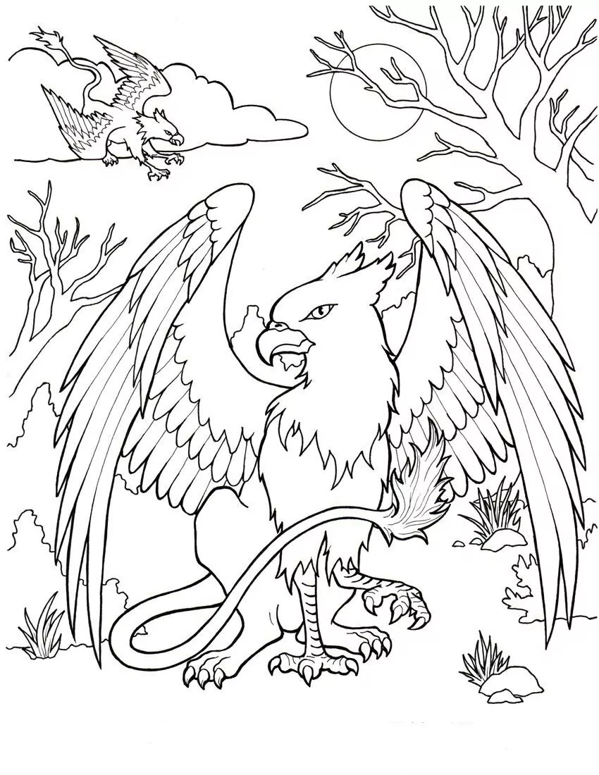 Griffin Ausmalbilder