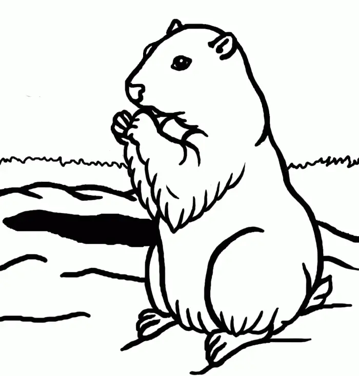 Groundhog Coloring Pages