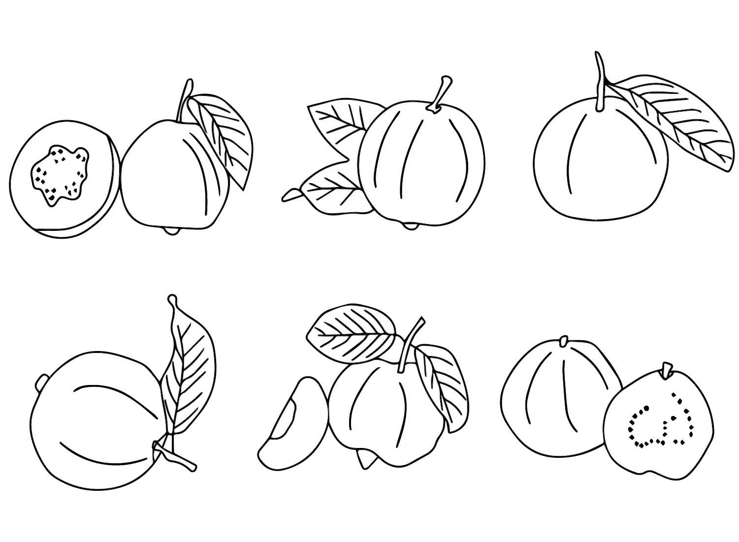 Guavas Ausmalbilder