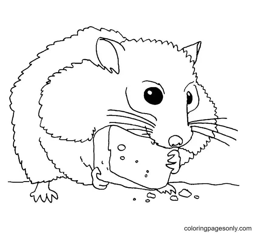 Hamster Ausmalbilder 32