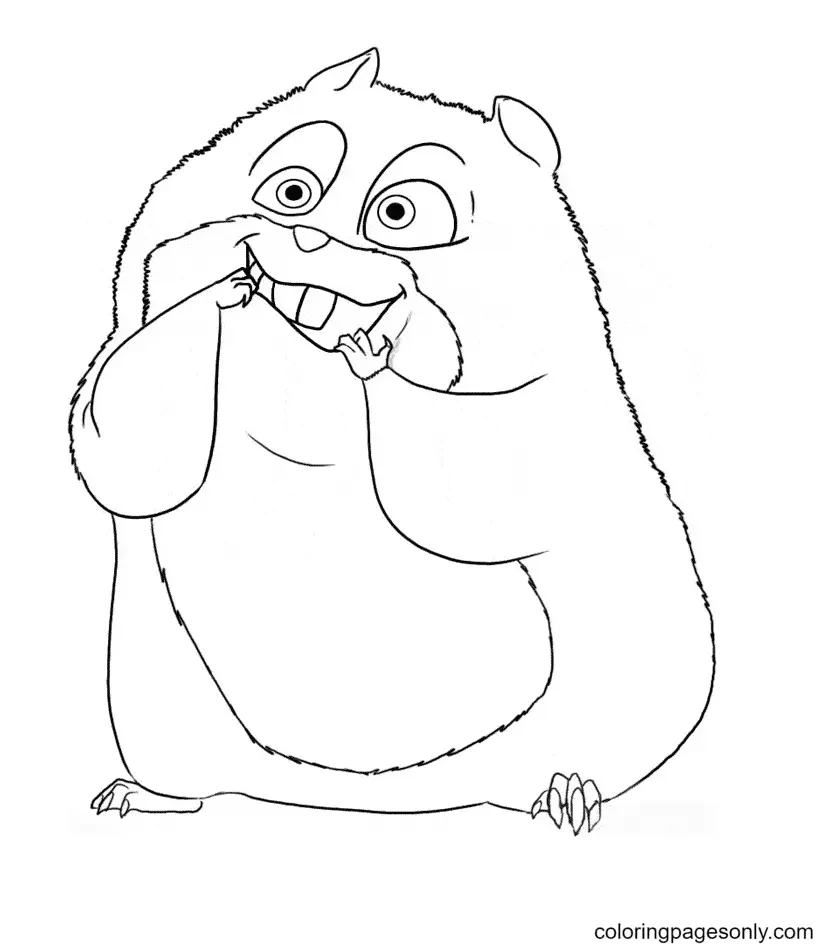 Hamster Ausmalbilder 38