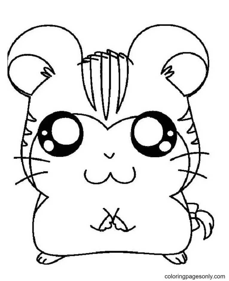 Hamster Ausmalbilder 6
