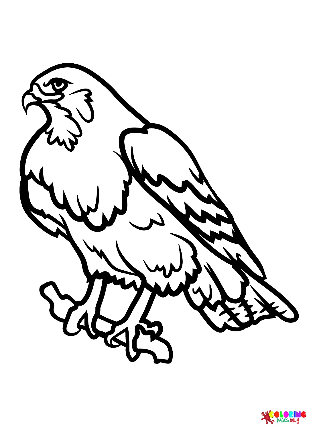 Hawks Ausmalbilder 21