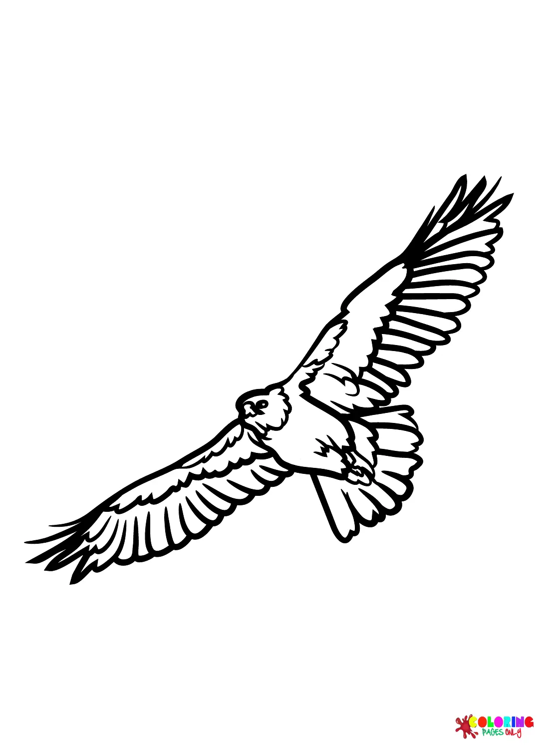 Hawks Ausmalbilder 26