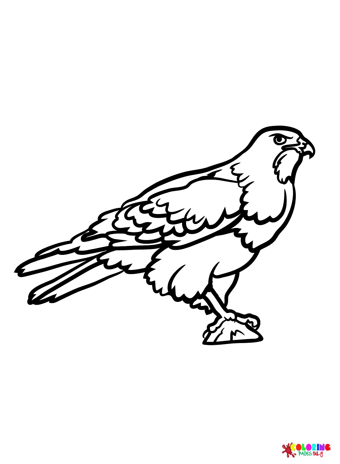 Hawks Ausmalbilder 6
