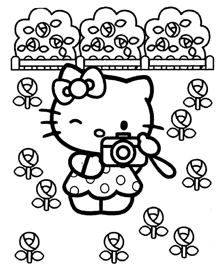 Hello Kitty Para Colorear 14