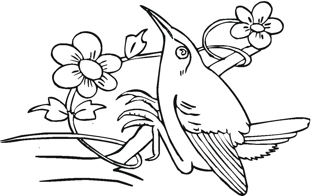 Desenhos de Beija-Flor Para Colorir