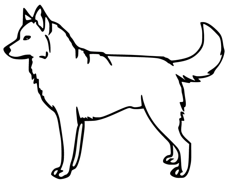Husky Ausmalbilder 22