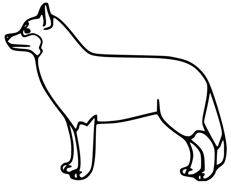 Husky Ausmalbilder 55