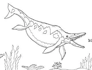 Ichthyosaur Coloring Pages 10