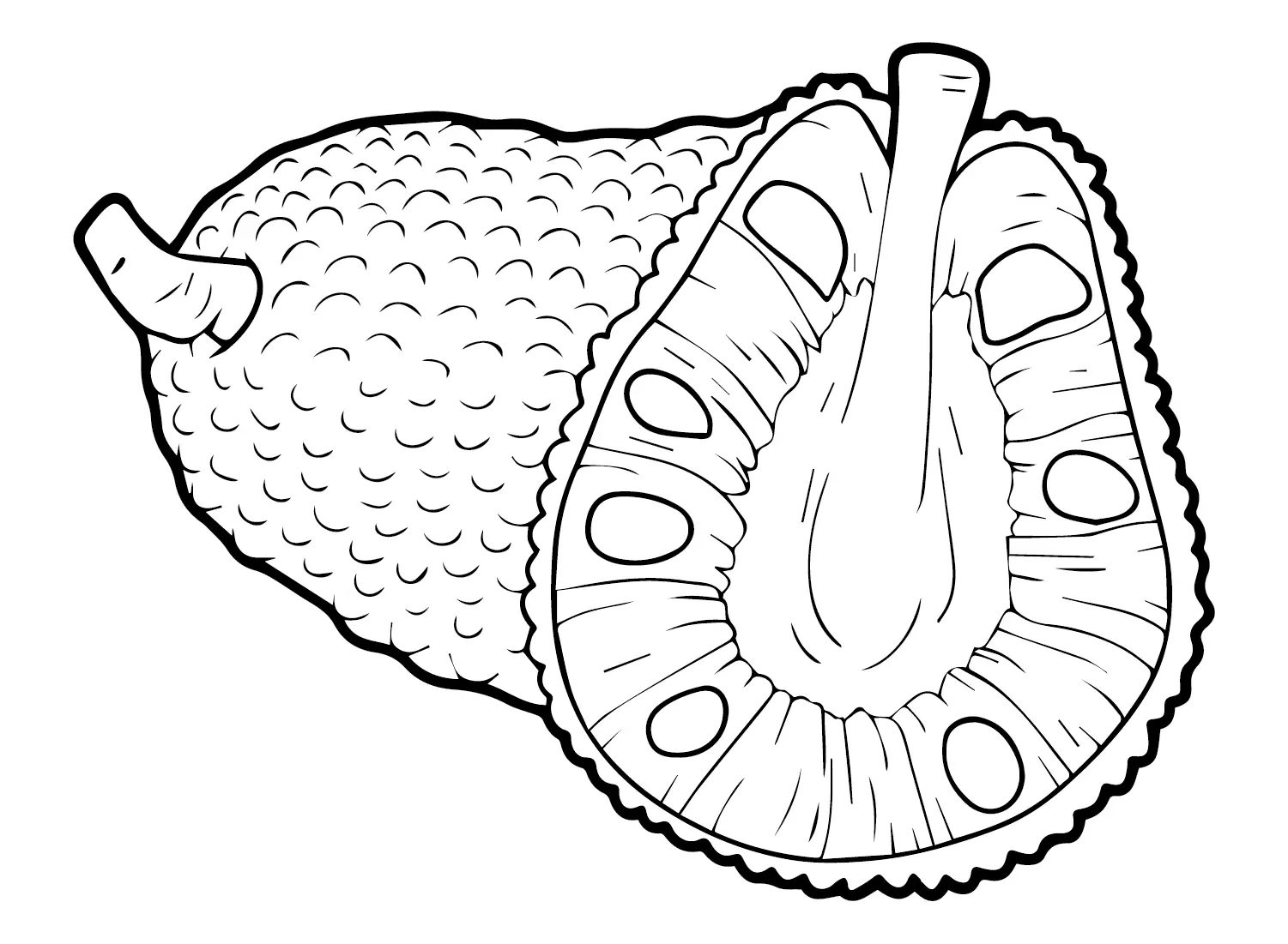 Desenhos de Jaca Para Colorir 4