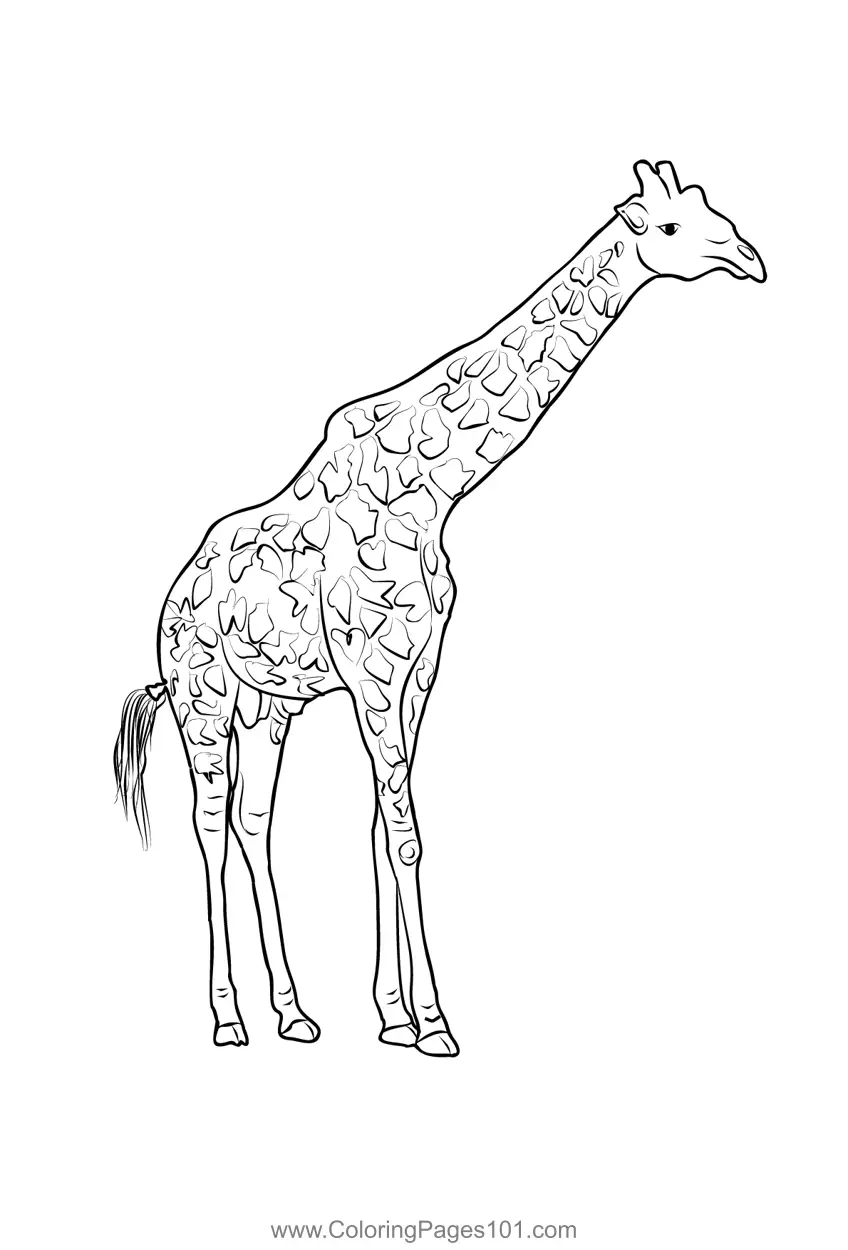 Kenia Ausmalbilder 5