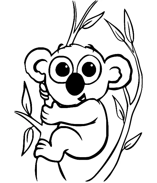 Koala Ausmalbilder 50