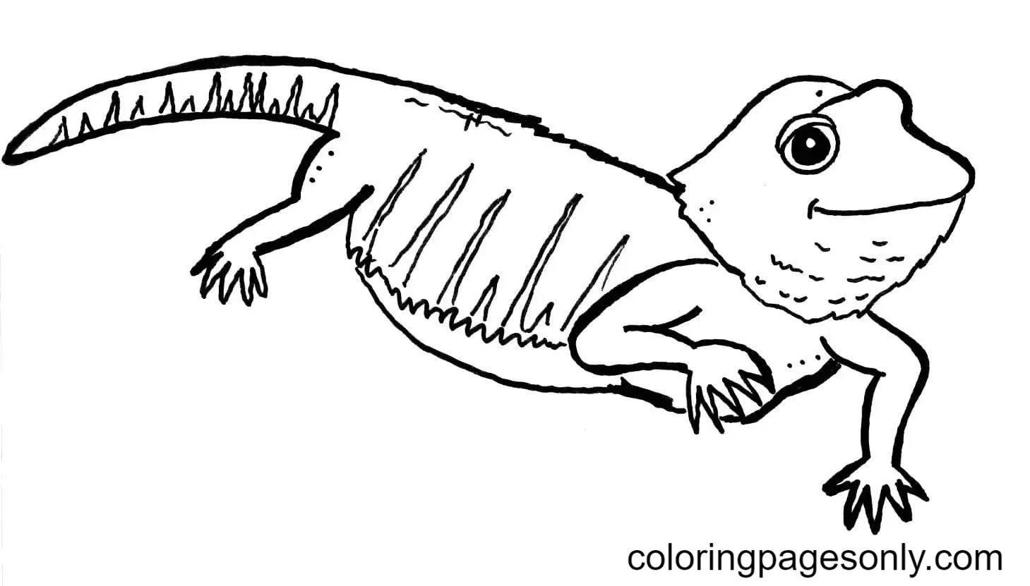 Desenhos de Lagarto Para Colorir 33