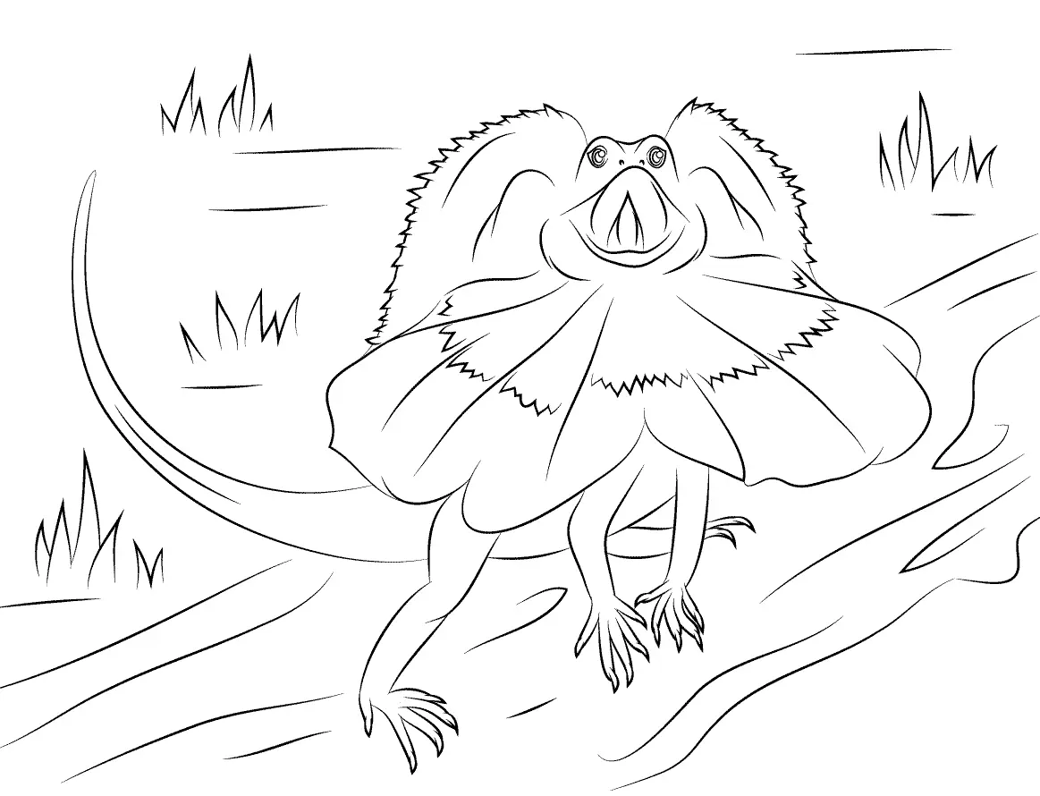 Desenhos de Lagarto Para Colorir 44
