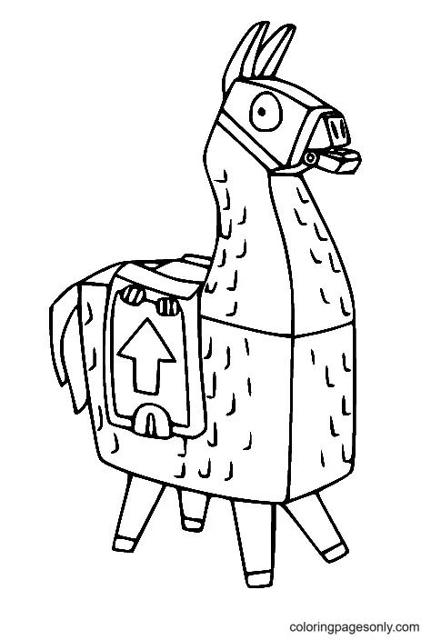 Ausmalbilder Lama 3