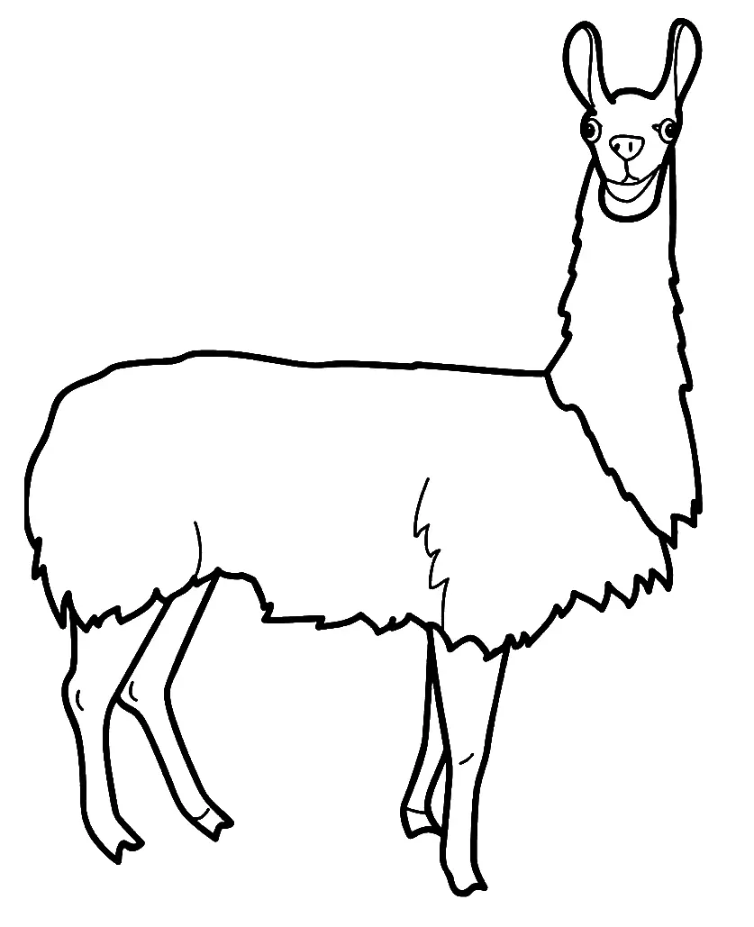 Ausmalbilder Lama 34