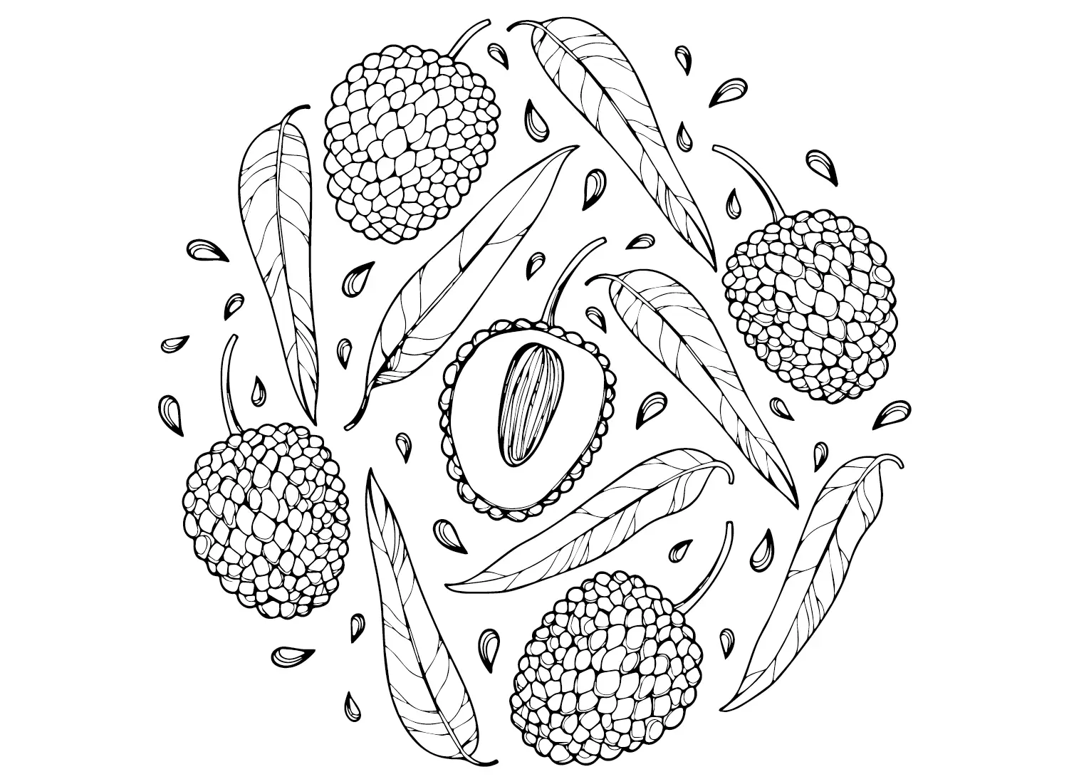 Lychee Ausmalbilder 1