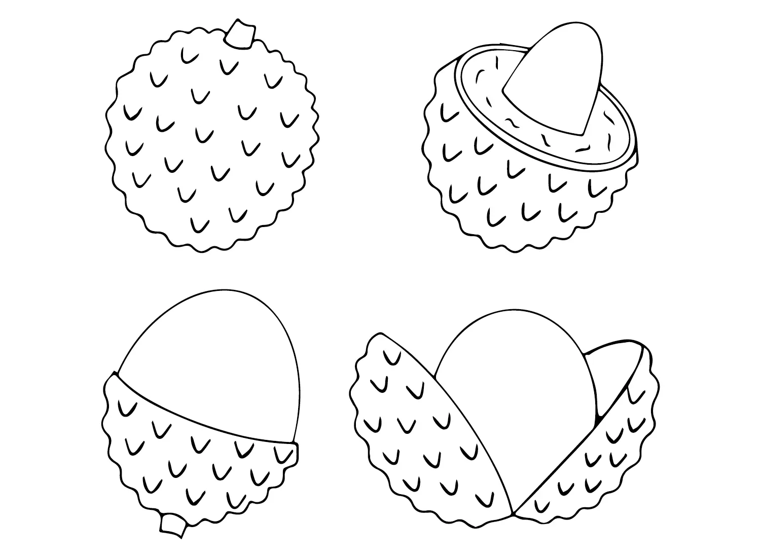 Lychee Ausmalbilder 10