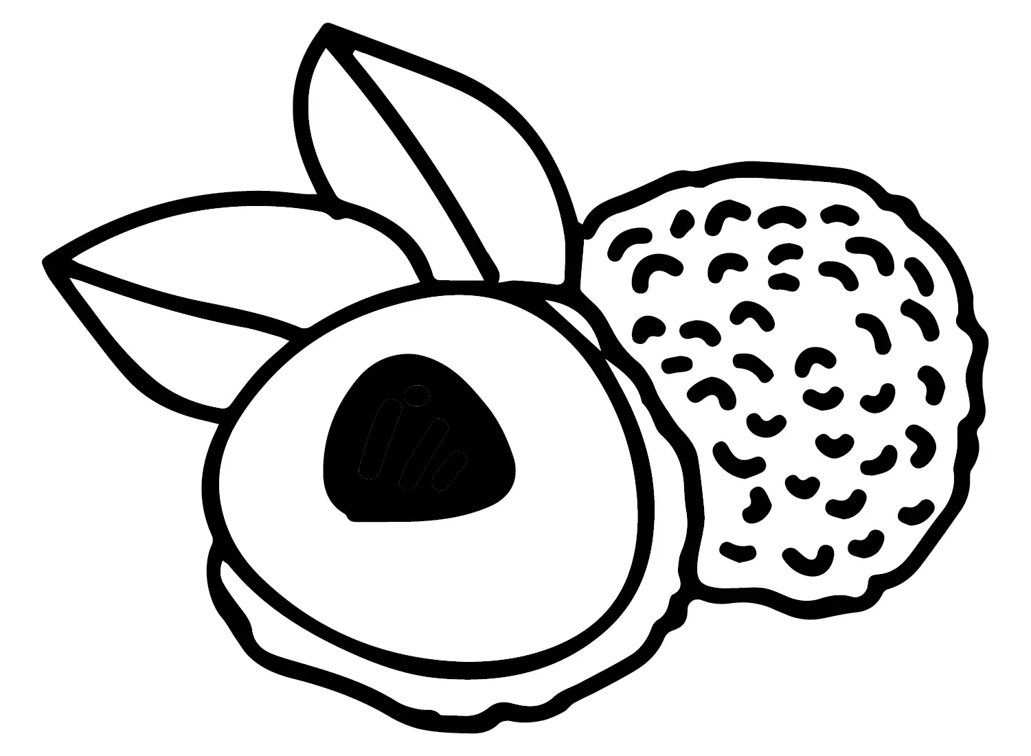 Lychee Ausmalbilder 14