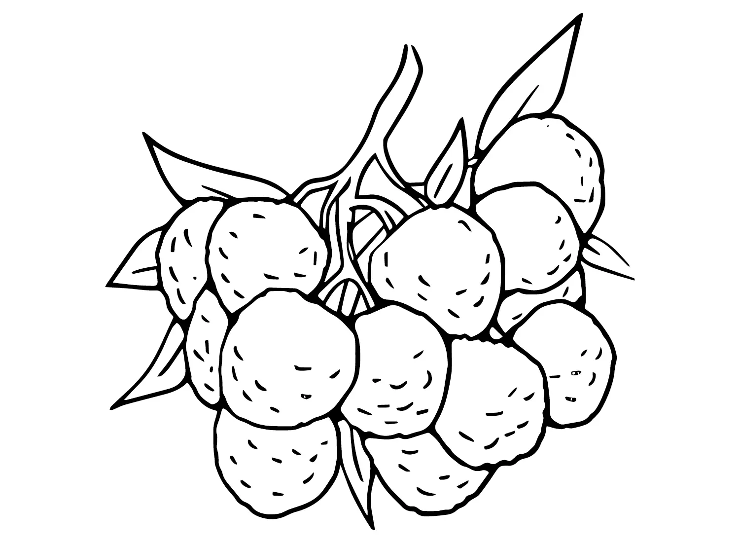 Lychee Ausmalbilder 20