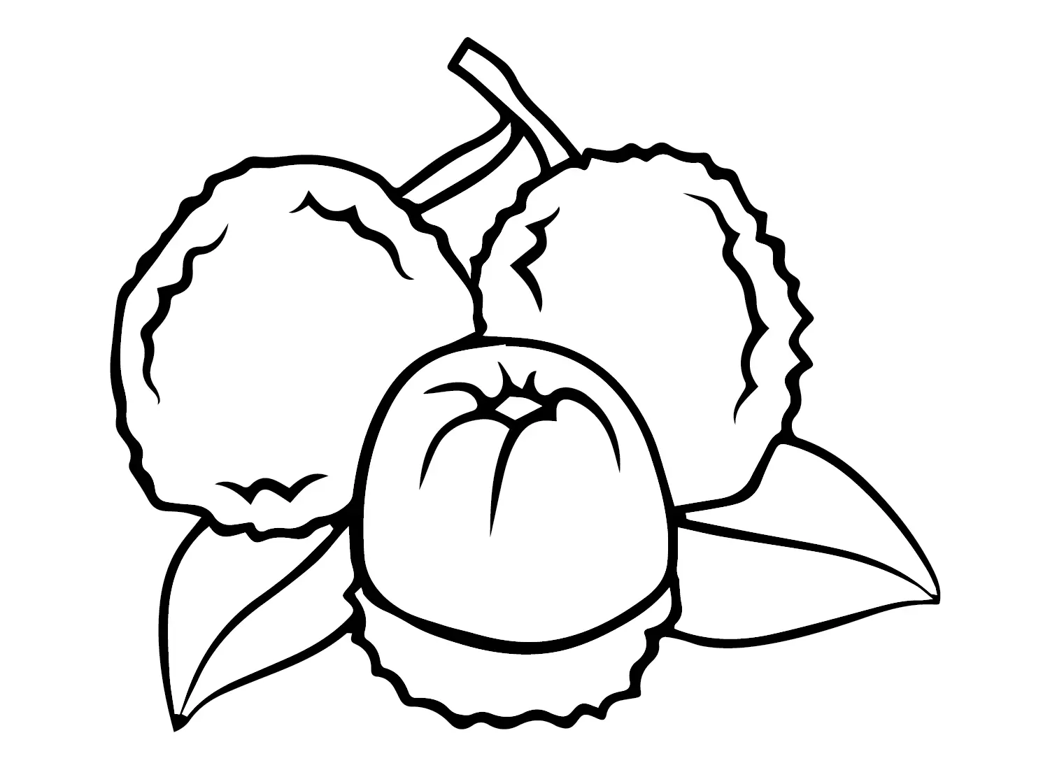 Lychee Ausmalbilder 3