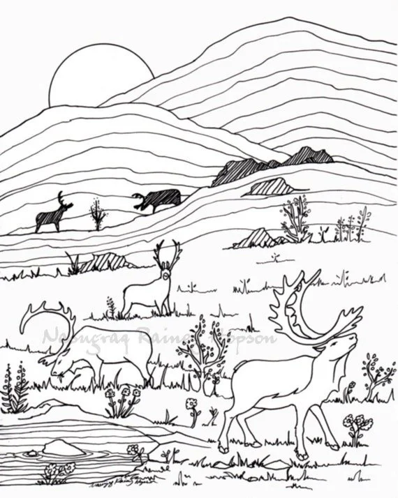 Migration Ausmalbilder 9