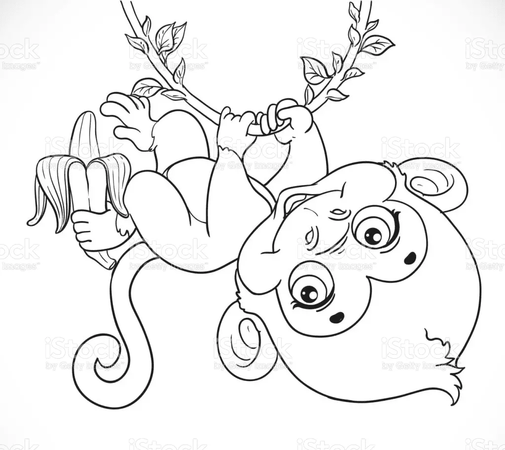 Monkey Coloring Pages 35