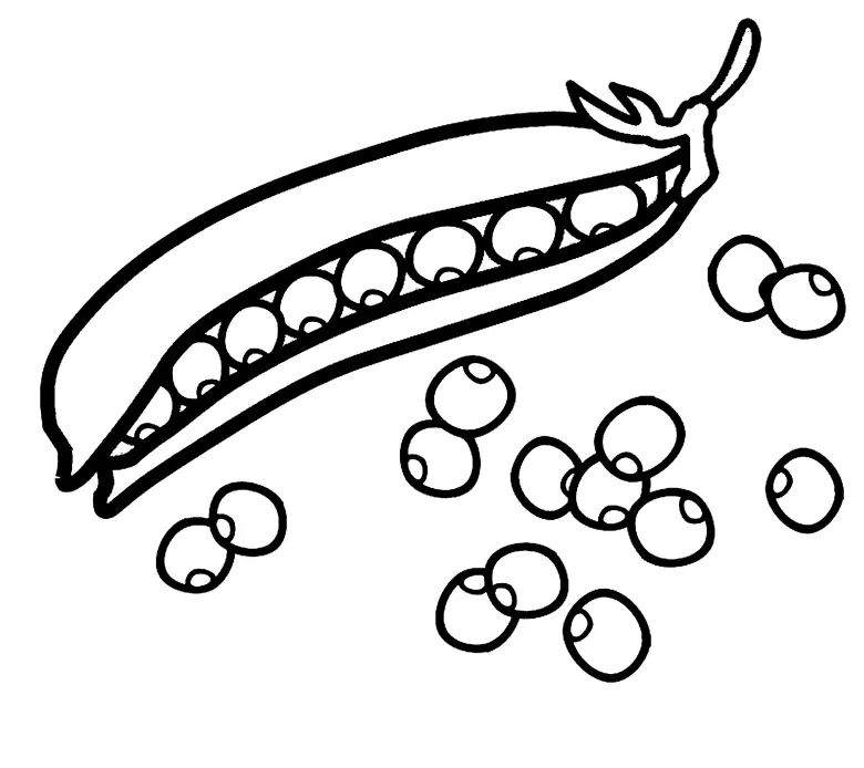 Desenhos de Cogumelos Para Colorir 15