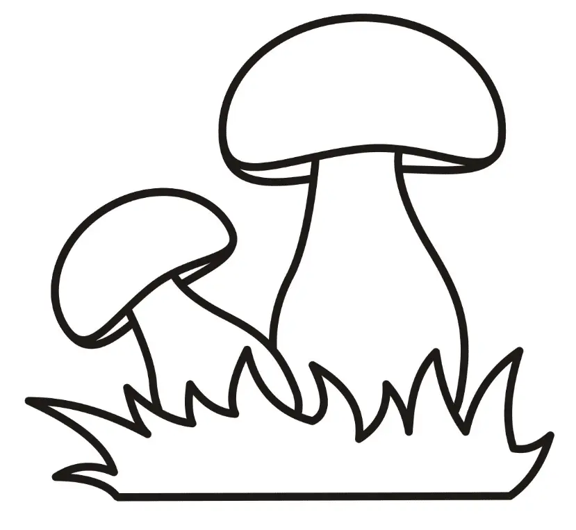 Desenhos de Cogumelos Para Colorir 96