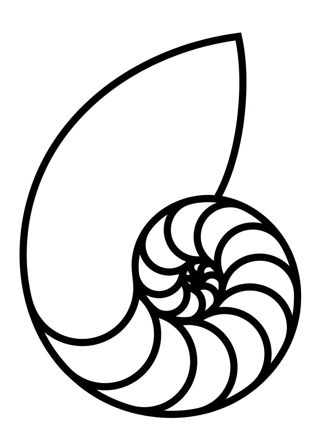 Nautilus Ausmalbilder 13
